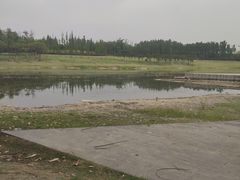 -两河城市森林公园