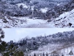 -武陵山森林公园