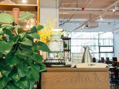 大堂-ZEMOCAFE·FUSION FOOD(西交利物浦店)