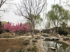 -石家庄市植物园