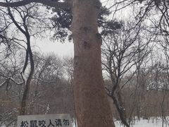 -北陵公园