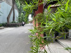 -青羊宫