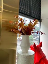 -IP SALON