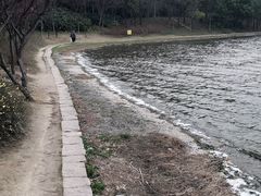 -美兰湖景区