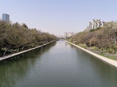 -合肥滨湖国家森林公园