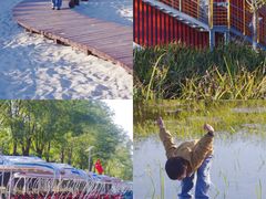 -永定河休闲森林公园