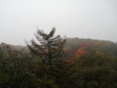 -秦岭风景区