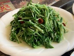 -泸沽肴(泸沽湖大洛水村农村信用社旁店)