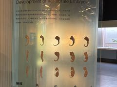 -青藏高原自然博物馆