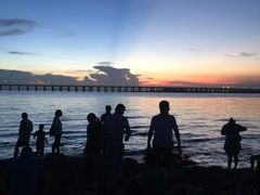 -宝安西湾红树林湿地公园