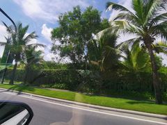 -龙泉人椰子鸡.糟粕醋.海南菜(三亚旗舰店)