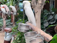 -南宫五洲植物乐园