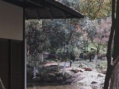 -新洲生态园