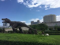 -陕西自然博物馆