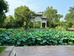 -西溪国家湿地公园