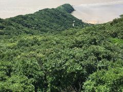 -普陀山风景区-佛顶山