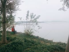 -东湖落雁景区