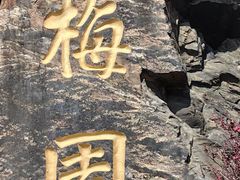 -无锡梅园公园