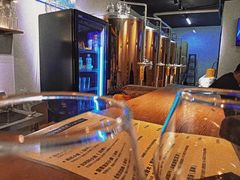 -玩啤国度精酿啤酒(宝山店)