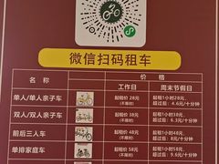 -合肥滨湖国家森林公园