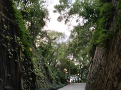 -乌山风景区