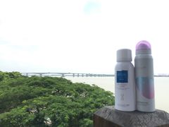 -大湾区中央湿地公园