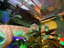 -恐龙探索乐园(磁器口店)