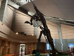 -诸城市恐龙博物馆