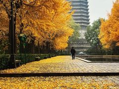 -玲珑塔公园