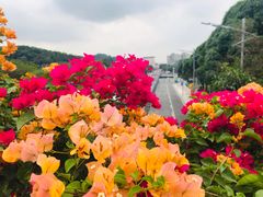 -云溪植物园