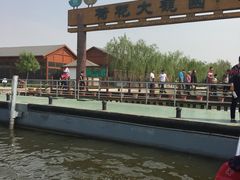 -白洋淀景区