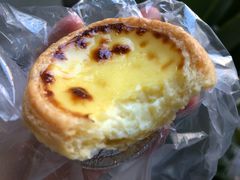 蛋挞-中山大学南校区-学1食堂