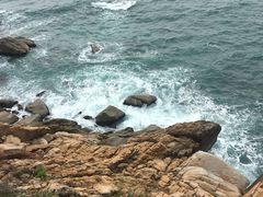 -广东惠东海龟国家级自然保护区