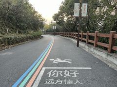 -杭州半山国家森林公园