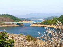 -广州市流溪河国家森林公园