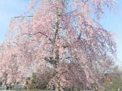 -轻井泽王子购物广场