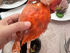 -东方红海鲜百汇(国际大厦店)