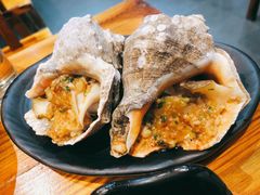 朝鲜海螺-丹东特色烤肉(学府路一部店)