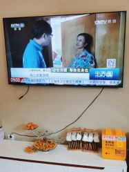 -碧莲盛·不剃发植发