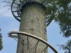 -黄海国家森林公园