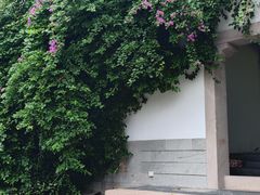 -大小河街