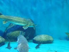 -多彩贵州城极地海洋世界