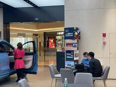 -理想汽车(世纪汇店)