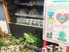 -狐狸家·酸奶酪专门店(平江路店)