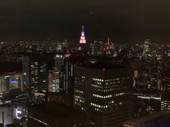-东京都厅舍