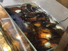 -十八字金银饰·拼豆·开蚌手工体验团建(君太百货店)