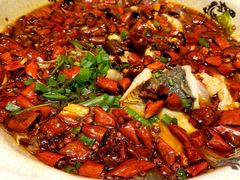 -陈麻婆豆腐总店