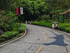 -广州市帽峰山景区