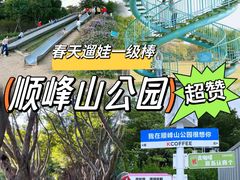-顺峰山公园