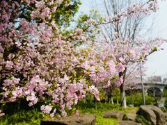 -杭州半山国家森林公园